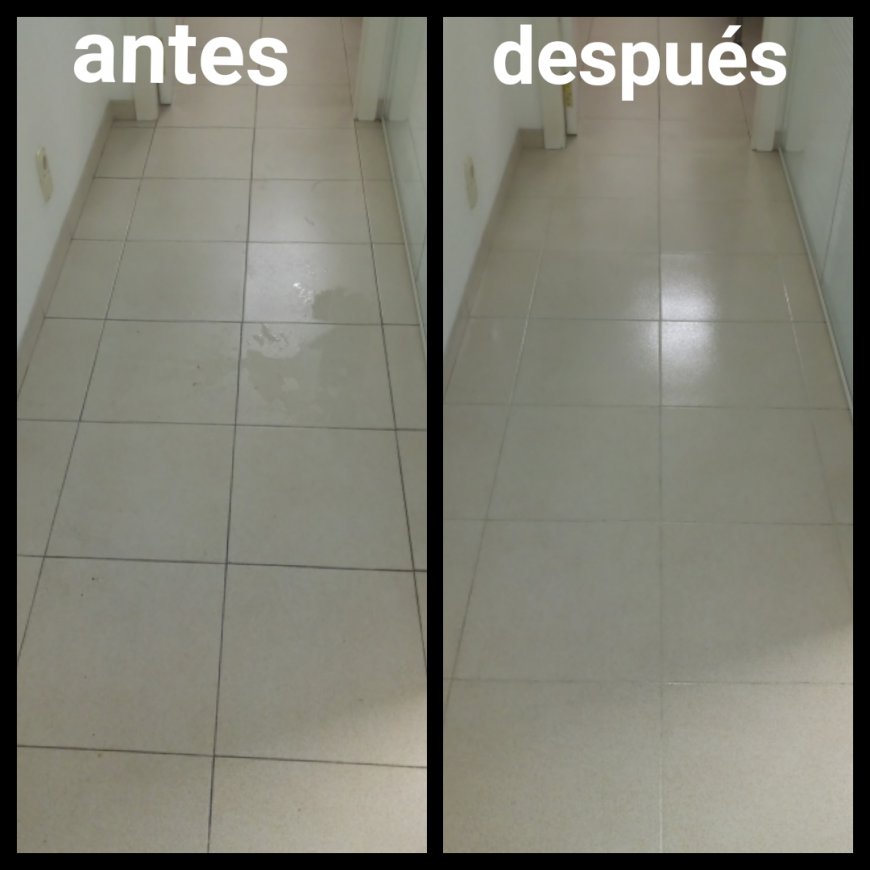 NETEJA JUNTES TERRA