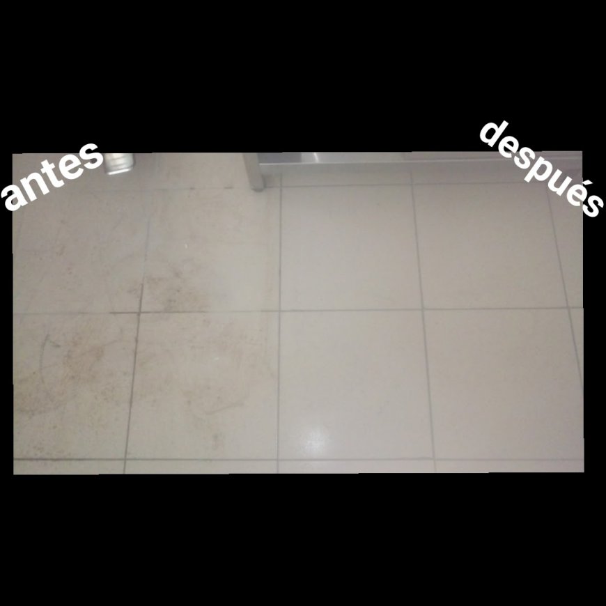 Neteja obra nova